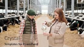  Presentation with livestock - Slides consisting of young-female-worker-of-livestock background and a coral colored foreground