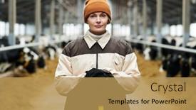  Presentation with cattle - Slide deck enhanced with young-female-worker-of-modern background and a yellow colored foreground