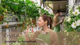  Presentation with digital farm - Colorful slide deck enhanced with young-female-worker-of-vertical backdrop and a coral colored foreground