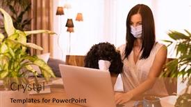  Presentation with poodle - Beautiful theme featuring young-female-working backdrop and a coral colored foreground