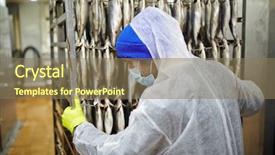  Presentation with fish processing - Cool new PPT theme with young fish factory staff backdrop and a coral colored foreground