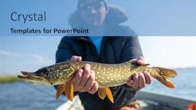  Presentation with fish immunology - PPT layouts with young fisherman holds the pike fish esox lucius being in the boat background and a light blue colored foreground