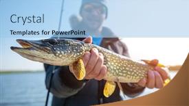  Presentation with small large comparison fish - Colorful presentation design enhanced with young fisherman holds the pike fish esox lucius being in the boat backdrop and a light blue colored foreground