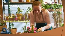  Presentation with quality control - Presentation with young-florist-caring-for-plants background and a tawny brown colored foreground