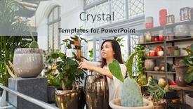  Presentation with plants - PPT theme enhanced with young-florist-decorating-plants background and a light gray colored foreground