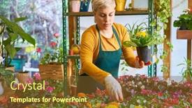  Presentation with caring - PPT theme consisting of young-florist-in-the-nursery background and a tawny brown colored foreground