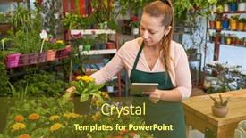  Presentation with inventory - PPT theme enhanced with young-florist-in-the-nursery background and a tawny brown colored foreground