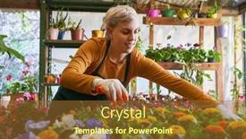  Presentation with caring - PPT layouts featuring young-florist-or-gardener-caring background and a tawny brown colored foreground