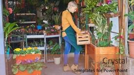  Presentation with caring - Presentation theme consisting of young-florist-or-gardener-caring background and a coral colored foreground