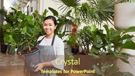  Presentation with young plant - Slides having young-florist-or-gardener-carries background and a tawny brown colored foreground