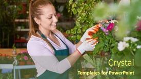  Presentation with caring - Theme enhanced with young-florist-wearing-gloves-caring background and a tawny brown colored foreground