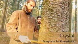  Presentation with mangrove forest mangrove in asia - PPT theme featuring young-forest-farmer-measures background and a yellow colored foreground