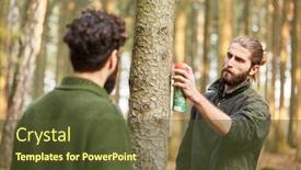  Presentation with wood harvest - Amazing PPT theme having young-forester-marks-a-tree backdrop and a tawny brown colored foreground