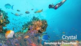  Presentation with coral reef - Presentation design consisting of young freediver woman underwater life background and a teal colored foreground
