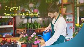  Presentation with nursery - Presentation consisting of young-gardener-or-florist-watering background and a tawny brown colored foreground