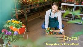  Presentation with flower - Theme with young-gardener-or-florist background and a violet colored foreground