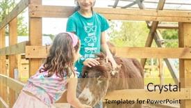  Presentation with young - Beautiful slide deck featuring young girl and boy feeding backdrop and a coral colored foreground