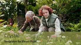  Presentation with summer flowers - PPT theme with young-girl-and-her-grandmother background and a gold colored foreground
