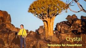  Presentation with tree - Colorful slide set enhanced with young-girl-at-quiver-tree backdrop and a tawny brown colored foreground