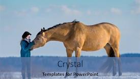  Presentation with horse child - Cool new presentation with young-girl-caress-a-trakehner backdrop and a teal colored foreground