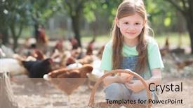  Presentation with wicker - Beautiful PPT theme featuring young girl holding chicken eggs backdrop and a coral colored foreground