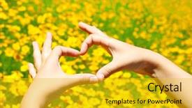  Presentation with heart flowers - Presentation design with young girl holding hands in heart shape framing on yellow flowers background background and a gold colored foreground