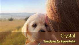  Presentation with cute christmas pug puppy dog - PPT layouts consisting of young-girl-holding-her-puppy background and a tawny brown colored foreground