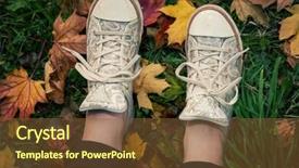  Presentation with sneakers - Amazing PPT theme having yellow fallen leaves autumn backdrop and a tawny brown colored foreground