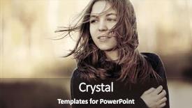  Presentation with wind - Slide deck consisting of sunny daisy colour - poppy field with bee close background and a tawny brown colored foreground.