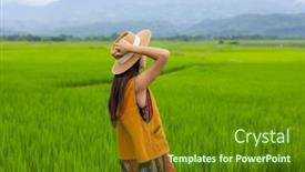  Presentation with rice field - Presentation design with young-girl-walking-in-rice background and a tawny brown colored foreground