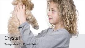  Presentation with poodle - PPT theme consisting of young girl with her toy poodle puppy 9 weeks old in front of a white background background and a light gray colored foreground