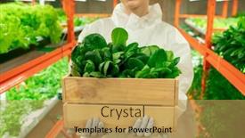  Presentation with vertical farm - Slide deck with young-gloved-female-agroengineer background and a yellow colored foreground