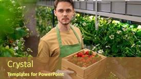  Presentation with vertical farm - Cool new theme with young-gloved-serious-worker backdrop and a tawny brown colored foreground