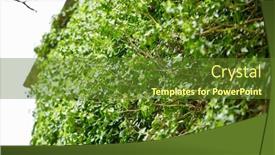  Presentation with green-leaves - Slide set consisting of young-green-leaves background and a tawny brown colored foreground