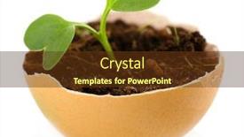  Presentation with eggshell - PPT layouts consisting of young green plant growing in eggshell isolated on white background and a tawny brown colored foreground