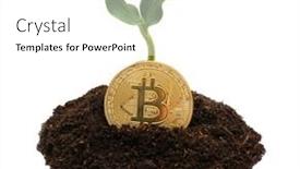 Presentation with money bitcoin - Amazing PPT theme having young-green-pumpkin-sprout backdrop and a white colored foreground