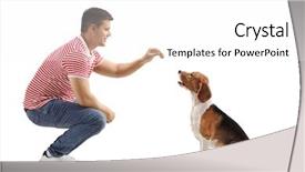  Presentation with beagle dog - Audience pleasing presentation consisting of young guy giving a biscuit backdrop and a white colored foreground