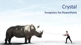  Presentation with lead - Cool new slide deck with young guy holding big rhino on lead backdrop and a sky blue colored foreground