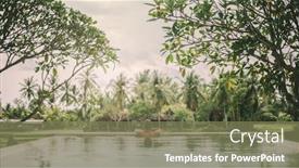  Presentation with infinity - PPT theme consisting of young guy swimming in infinity pool with a view on rice terrace travelling to ubud bali background and a violet colored foreground