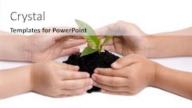  Presentation with seedling - Presentation design having young-hands-surround background and a white colored foreground