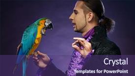  Presentation with magician - Beautiful PPT layouts featuring young handsome brunette magician man in stage costume with his trained parrot backdrop and a violet colored foreground