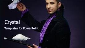  Presentation with doves - Cool new PPT layouts with his trained white dove backdrop and a wine colored foreground