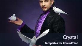  Presentation with doves - Beautiful PPT theme featuring his trained white dove backdrop and a wine colored foreground