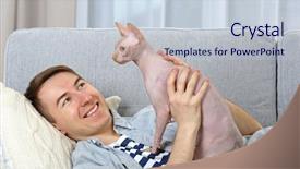  Presentation with young grey maine coon cat - Presentation theme consisting of young handsome man lies with cat on couch at home background and a lemonade colored foreground