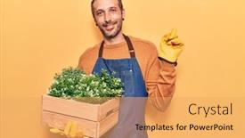  Presentation with hand holding plant - Presentation theme consisting of young-handsome-man-wearing-gardener background and a yellow colored foreground