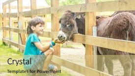  Presentation with happy holiday - Cool new slides with young happy child boy playing backdrop and a  colored foreground