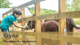  Presentation with filipino child playing - Theme enhanced with young happy child boy playing background and a  colored foreground