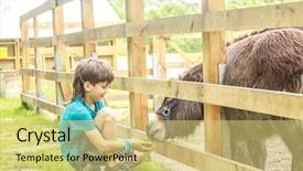  Presentation with filipino child playing - Amazing PPT layouts having young happy child boy playing backdrop and a  colored foreground