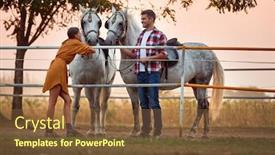  Presentation with horses - Amazing PPT theme having rodeo - young happy couple preparing their backdrop and a tawny brown colored foreground