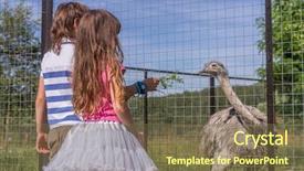  Presentation with farm - Slides consisting of young happy smiling child girls feeding emu ostrich on bird farm outdoor portrait background and a tawny brown colored foreground
